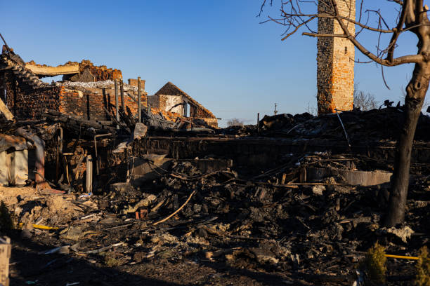 Reliable Content Restoration contractor in Springfield, VA by Fire Damage Laser Cleaning